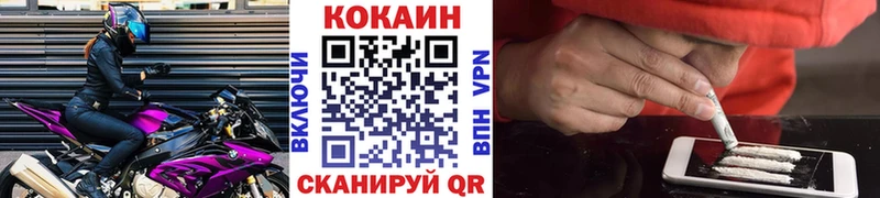 MEGA вход  продажа наркотиков  Дмитриев  КОКАИН Fish Scale 